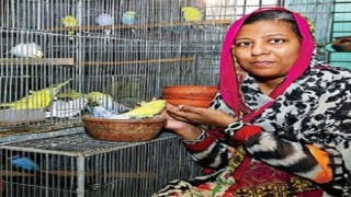 দুই নারীর সাফল্য