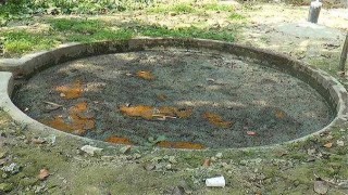 মনোহরদীতে খামারের বর্জ্য থেকে বায়োগ্যাস উৎপাদন