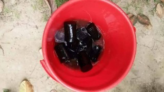 পলাশে আ’লীগ নেতার বাড়ির আঙ্গিনা থেকে ককটেল উদ্ধার পলাশে আ’লীগ নেতার বাড়ির আঙ্গিনা থেকে ককটেল উদ্ধার