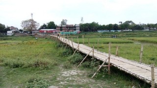 রায়পুরার রাধাগঞ্জে ঝুঁকিপূর্ণ বাঁশের সাকোই লক্ষাধিক মানুষের ভরসা