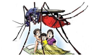 রাজধানীতে মশার অত্যাচারে অতিষ্ট হয়ে থানায় জিডি