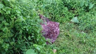 মাধবদীতে রাতে নিখোঁজ, সকালে নারীর লাশ উদ্ধার