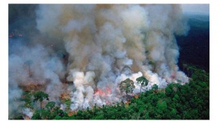 অ্যামাজন বনের নতুন সহস্রাধিক স্থানে ছড়িয়ে পড়েছে আগুন