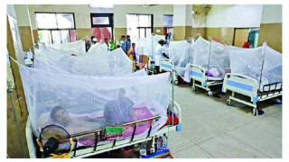 ২৪ ঘন্টায় নতুন করে ডেঙ্গু আক্রান্ত ১২৯৯, মারা গেছেন ৩ জন ২৪ ঘন্টায় নতুন করে ডেঙ্গু আক্রান্ত ১২৯৯, মারা গেছেন ৩ জন