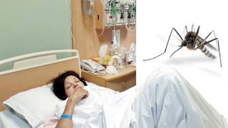 ডেঙ্গু রোগে আক্রান্ত ৩৩৩ স্বাস্থ্যকর্মী ও ১০৫ চিকিৎসক ডেঙ্গু রোগে আক্রান্ত ৩৩৩ স্বাস্থ্যকর্মী ও ১০৫ চিকিৎসক