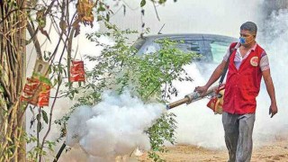 মশা নিধনের নতুন ঔষধ  প্রয়োগ শুরু মশা নিধনের নতুন ঔষধ  প্রয়োগ শুরু