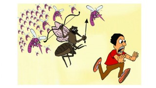 পলাশে ২ শিশুসহ ১৪ ডেঙ্গু রোগী শনাক্ত পলাশে ২ শিশুসহ ১৪ ডেঙ্গু রোগী শনাক্ত