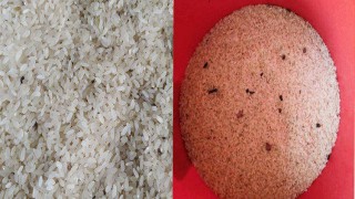 মনোহরদীতে পোঁকায় ধরা খাবার অযোগ্য ভিজিএফ’র চাল সরবরাহ