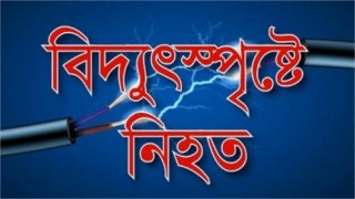 মশা নিধন করতে গিয়ে যুবকের মৃত্যু মশা নিধন করতে গিয়ে যুবকের মৃত্যু