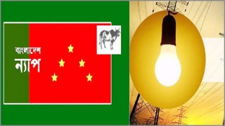 বিদ্যুতের মূল্যবৃদ্ধির পাঁয়তারা বন্ধ করুন: বাংলাদেশ ন্যাপ