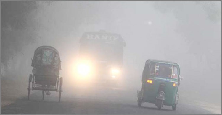 ঘন কুয়াশা: ট্রাক চাপায় নিহত ৩ ঘন কুয়াশা: ট্রাক চাপায় নিহত ৩