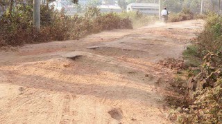 নরসিংদীর পাঁচদোনা-ডাঙ্গা-ঘোড়াশাল সড়কের বেহাল দশা নরসিংদীর পাঁচদোনা-ডাঙ্গা-ঘোড়াশাল সড়কের বেহাল দশা