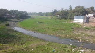 রায়পুরায় খরস্রোতা কাঁকনের বুকজুড়ে ফসলের মাঠ