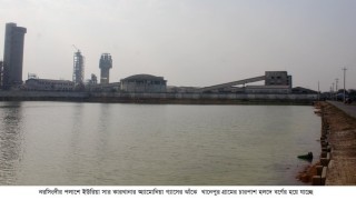 পলাশে সার কারখানার নির্গত গ্যাসের বিষাক্ততায় হুমকির মুখে পরিবেশ পলাশে সার কারখানার নির্গত গ্যাসের বিষাক্ততায় হুমকির মুখে পরিবেশ
