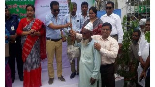 পলাশে ৪ দিনব্যাপী কৃষিপ্রযুক্তি ও ফলদ বৃক্ষ মেলা শুরু