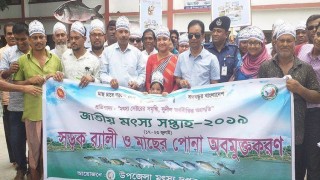 পলাশে জাতীয় মৎস্য সপ্তাহের উদ্বোধন পলাশে জাতীয় মৎস্য সপ্তাহের উদ্বোধন