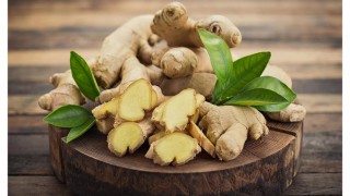 হাজারো রোগ-ব্যাধির মুক্তিদাতা কাঁচা আদা