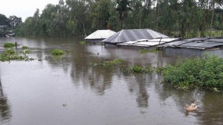 বিপদসীমার ওপর দিয়ে প্রবাহিত হচ্ছে দেশের ২৫ নদ-নদীর পানি বিপদসীমার ওপর দিয়ে প্রবাহিত হচ্ছে দেশের ২৫ নদ-নদীর পানি