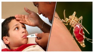 জেনে নিন ডেঙ্গু জ্বরের লক্ষণ ও প্রতিকার