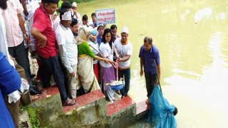 মনোহরদীতে জাতীয় মৎস্য সপ্তাহের উদ্বোধন