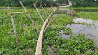 সেতুর অভাবে দুর্ভোগে মনোহরদী-কাপাসিয়ার ৮ গ্রামের মানুষ
