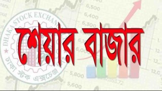 মুখ থুবড়ে পড়েছে শেয়ার বাজার মুখ থুবড়ে পড়েছে শেয়ার বাজার