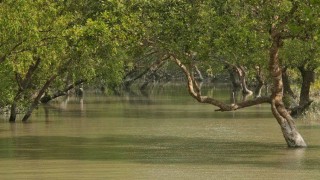 বিশ্ব ঐতিহ্যের তালিকা থেকে বাদ পড়ার আশংকায় সুন্দরবন বিশ্ব ঐতিহ্যের তালিকা থেকে বাদ পড়ার আশংকায় সুন্দরবন