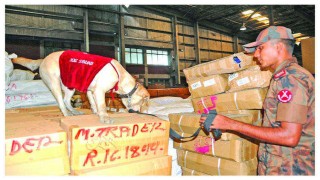 দেশের সব বিমানবন্দরে ডগ স্কোয়াড রাখার নির্দেশ প্রধানমন্ত্রীর দেশের সব বিমানবন্দরে ডগ স্কোয়াড রাখার নির্দেশ প্রধানমন্ত্রীর