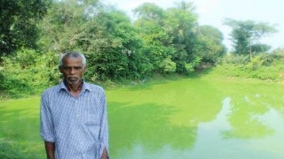 পলাশে ভাড়ার মেয়াদ শেষে হিন্দু পরিবারের পুকুর জবরদখলের অভিযোগ