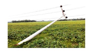 নরসিংদীতে বৈদ্যুতিক খুঁটির নিচে চাপা পড়ে একজন নিহত