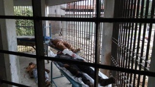 শিবপুরে দুই সড়ক দুর্ঘটনায় গ্যাস ফিল্ড কর্মকর্তাসহ তিনজন নিহত শিবপুরে দুই সড়ক দুর্ঘটনায় গ্যাস ফিল্ড কর্মকর্তাসহ তিনজন নিহত