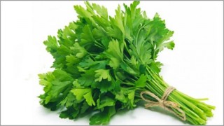 ধনেপাতা খান কোলেস্টেরল কমান