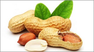 বাদামের পুষ্টিগুণ ও উপকারিতা