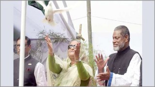 কৃষিকে ত্যাগ করে নয় কৃষিজমি রক্ষা করেই শিল্পায়ন হবে: প্রধানমন্ত্রী কৃষিকে ত্যাগ করে নয় কৃষিজমি রক্ষা করেই শিল্পায়ন হবে: প্রধানমন্ত্রী