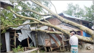 ঘূর্ণিঝড় বুলবুলের তাণ্ডবে ৮ জেলায় ১৩ জন নিহত ঘূর্ণিঝড় বুলবুলের তাণ্ডবে ৮ জেলায় ১৩ জন নিহত