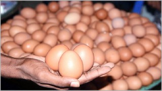 বাজি ধরে ডিম খেতে গিয়ে যুবকের মৃত্যু