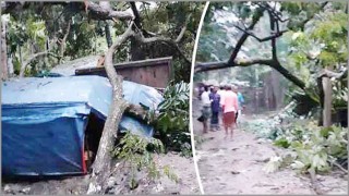 বুলবুলের তাণ্ডবে নিহত-৪ বুলবুলের তাণ্ডবে নিহত-৪