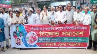 পেঁয়াজের দাম বৃদ্ধির প্রতিবাদে নরসিংদীতে বিএনপির বিক্ষোভ সমাবেশ