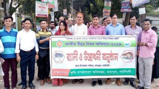 জাতীয় ইঁদুর নিধন অভিযান উপলক্ষে রায়পুরায় র‌্যালী