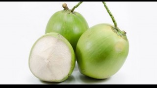 ১১টি রোগের ওষুধ ডাবের পানি