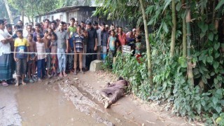 রায়পুরায় স্ত্রীকে জোরপূর্বক উঠিয়ে আনতে গিয়ে ছুরিকাঘাতে ব্যবসায়ী নিহত