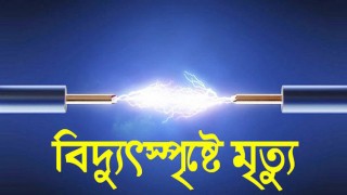 মাধবদীতে বিদ্যুৎস্পৃষ্ট শ্রমিকের মৃত্যু