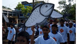 বরগুনায় অনুষ্ঠিত হলো ইলিশ উৎসব বরগুনায় অনুষ্ঠিত হলো ইলিশ উৎসব