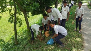 পাইকারচরে তালবীজ রোপন কর্মসূচীতে উদ্বুদ্ধ হচ্ছে শিক্ষার্থীরা