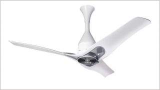 মশা তাড়াবে সিলিং ফ্যান