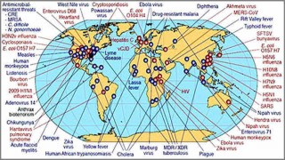 সারাবিশ্বে ছড়িয়ে পড়তে পারে ফ্লু; মারা যেতে পারে ৮ কোটি মানুষ