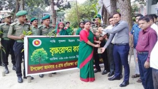 শিবপুরে আনসার ও গ্রাম প্রতিরক্ষাবাহিনী’র বৃক্ষরোপন কর্মসূচী শিবপুরে আনসার ও গ্রাম প্রতিরক্ষাবাহিনী’র বৃক্ষরোপন কর্মসূচী