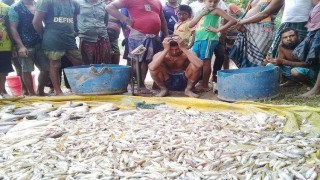 শিবপুরে চাঁদা না পেয়ে দুটি পুকুরে বিষ প্রয়োগের অভিযোগ  শিবপুরে চাঁদা না পেয়ে দুটি পুকুরে বিষ প্রয়োগের অভিযোগ