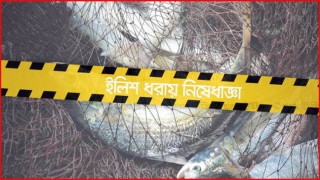 ২২ দিন ইলিশ ধরা নিষিদ্ধ