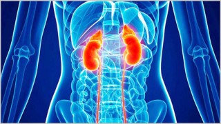 দেশের বিভিন্ন স্থানে কিডনি সিন্ডিকেটের তৎপরতা বৃদ্ধি দেশের বিভিন্ন স্থানে কিডনি সিন্ডিকেটের তৎপরতা বৃদ্ধি